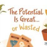 The Potential Is Great...or Wasted