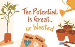 The Potential Is Great...or Wasted