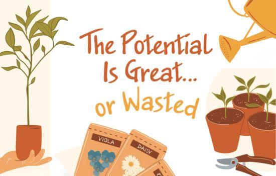 The Potential Is Great...or Wasted